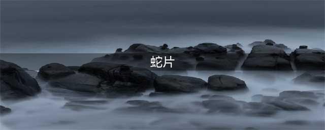 推荐21部关于蛇的电影，这种生物看着就可怕(蛇片)
