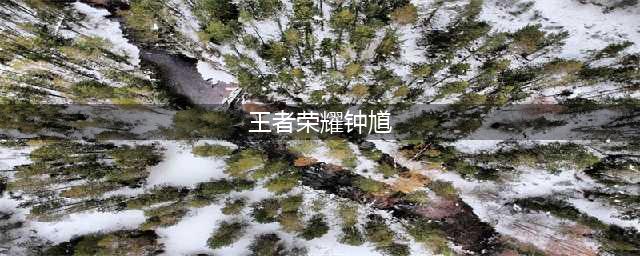 王者荣耀钟馗技能是什么（钟馗技能是什么）(王者荣耀钟馗)