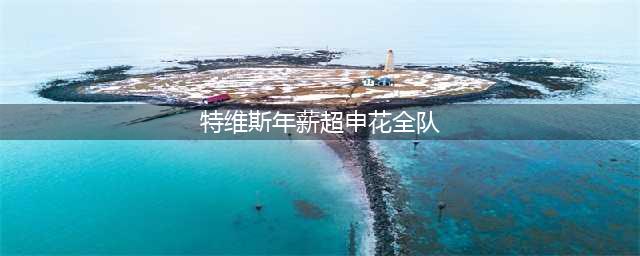 特维斯公开年薪：两年5.6亿！一天一辆保时捷！(特维斯年薪超申花全队)