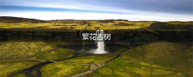 《魔兽世界》宠物繁花古树怎么获得 繁华古树获取方法