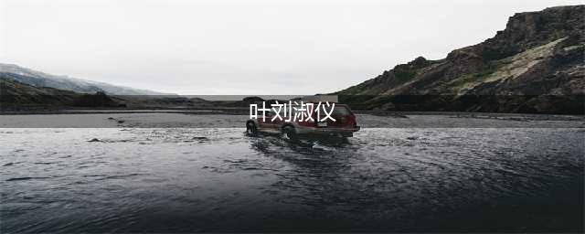 叶刘淑仪：公务员不只是一份工不爱国的人不加入政府更好(叶刘淑仪)