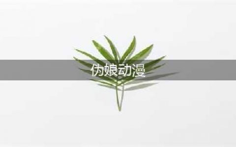 盘点动漫里的那些伪娘(伪娘动漫)