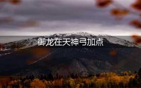 御龙在天手游神弓怎么加点 神弓加点方案(御龙在天神弓加点)