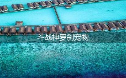 斗战神罗刹宠物怎么选择 罗刹宠物选择推荐(斗战神罗刹宠物)