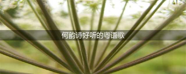 310首超好听的粤语歌曲~~~没事听听也是极好的！(何韵诗好听的粤语歌)