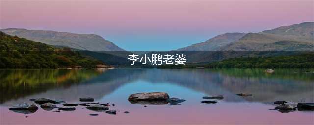 奥运冠军李小鹏，美满婚姻梦碎，妻子李安琪无法拯救(李小鹏老婆)