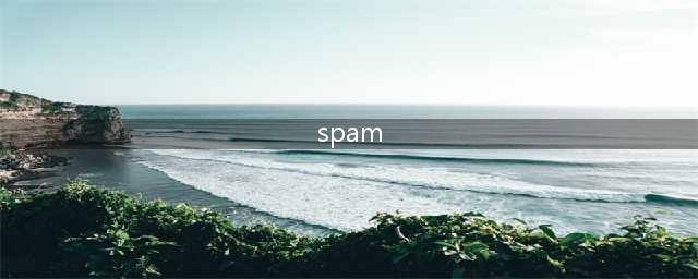为什么SPAM成了垃圾邮件的代名词？三分钟带你了解SPAM的前世今生(spam)