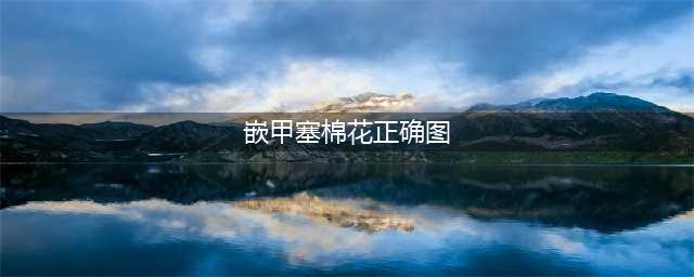 终于，我自己解决了嵌甲(嵌甲塞棉花正确图)