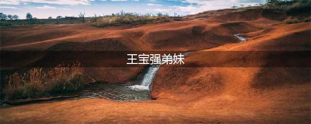 王宝强弟妹遇车祸去世2名肇事者举家逃逸 曾扬言找关系撞死人是小事(王宝强弟妹)