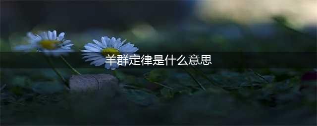 两性情感：兄弟姐妹关系再好，也要懂得羊群定律(羊群定律是什么意思)