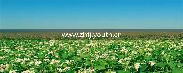 小自学堂Vol.4 | 自动化学院2022级新生团员组织关系转接指南(www.zhtj.youth.cn)