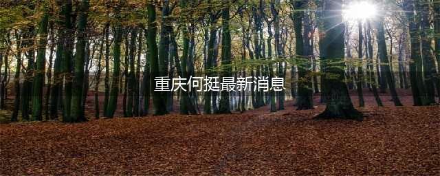 人事任免丨何挺被免去重庆市人民政府副市长、市公安局局长职务(重庆何挺最新消息)