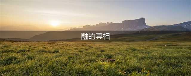 火影：宇智波鼬的5个真相，个个扎心，网友：意想不到(鼬的真相)