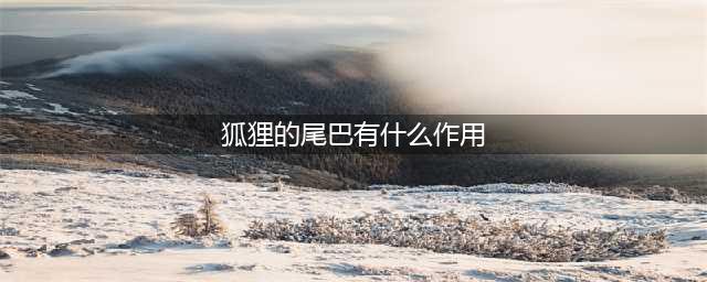 《漫野奇谭》狐狸尾巴作用分享 获取条件介绍(狐狸的尾巴有什么作用)