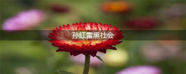 被金星暗讽靠女人上位？孙红雷艰难的“黑社会”成名路(孙红雷黑社会)