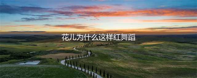 艺术品评 | 民族舞《花儿为什么这样红》(花儿为什么这样红舞蹈)