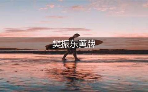 太硬气了！樊振东3-2逆转，被黄牌警告，国乒男团2-0法国夺冠在望(樊振东黄牌)
