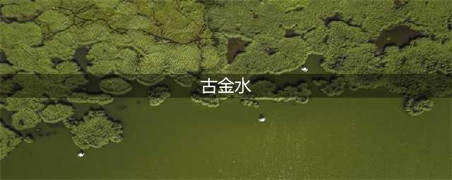 台湾十项全能运动员古金水(古金水)