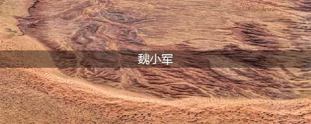 魏小军的老公是谁 揭魏小军情史原来她早已结婚老公真容曝光(魏小军)