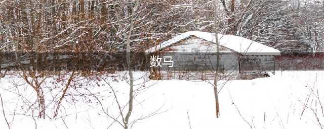 属马的今年多少岁2024 属马的2024年多大了(数马)