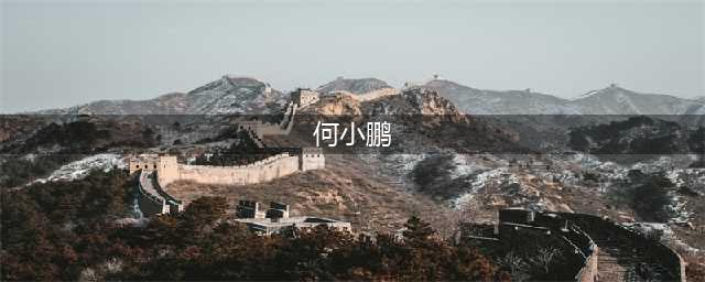 锁电、锁电！沈晖与何小鹏真要相约在315？(何小鹏)