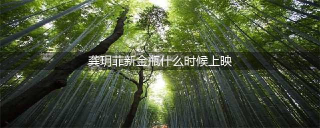 新金瓶梅龚玥菲什么时候上映下载地址公布(龚玥菲新金瓶什么时候上映)