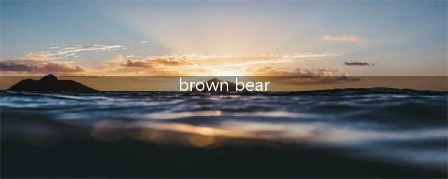 ◐ 英语启蒙绘本第一周：《Brown Bear,Brown Bear,What do you see?》(brown bear)