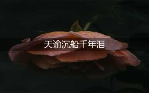 《天谕手游》沉船千年泪在哪 沉船千年泪位置汇总(天谕沉船千年泪)