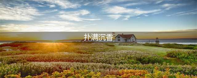 结油以后的沉香木什么样？(扑满沉香)