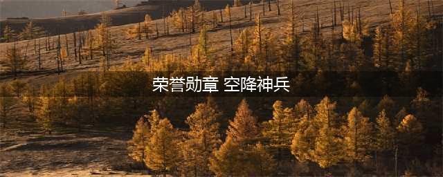 《荣誉勋章：空降神兵》Steam商城已下架 原因未知(荣誉勋章 空降神兵)