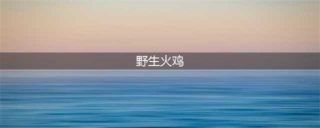 魔兽世界野生火鸡在哪里抓?野生火鸡位置介绍