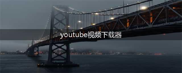 教你3种方法下载YouTube视频(youtube视频下载器)