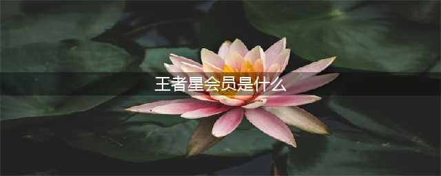 王者荣耀星会员是什么