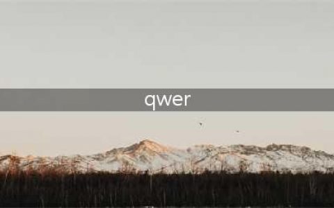 《英雄联盟手游》qwer一览 qwer是什么