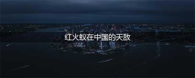 红火蚁具有那么强的生物属性，它的天敌是什么？(红火蚁在中国的天敌)