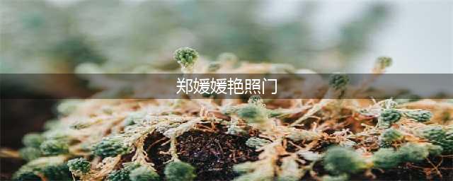 山东女教师艳照疯传网络 被学校开除团籍图(郑媛媛艳照门)