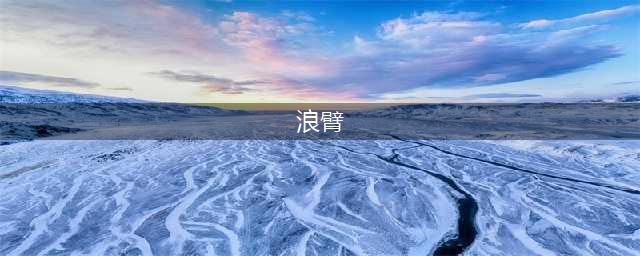 浪臂--花臂水花浪花纹身(浪臂)