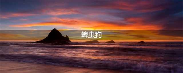 这东西藏在狗狗身上，比跳蚤可怕百倍！(蜱虫狗)