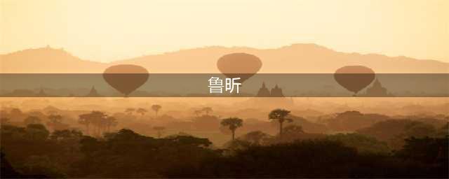 鲁昕同志一行来广技师考察调研(鲁昕)