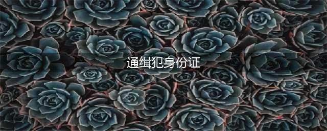 A级通缉令！(通缉犯身份证)