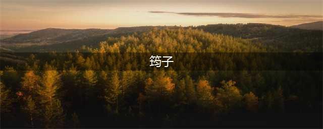 筠子：遭小高劈腿，27岁在家离去，晓松母亲：小高是个白眼狼(筠子)