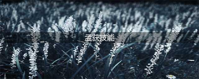 三国杀孟获技能大全一览(孟获技能)