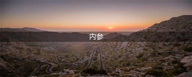 张栋伟：什么是《内参》？新华社内参在哪里看？(内参)