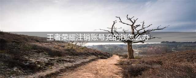 王者荣耀注销账号可以退充的钱吗 注销账号退款流程一览