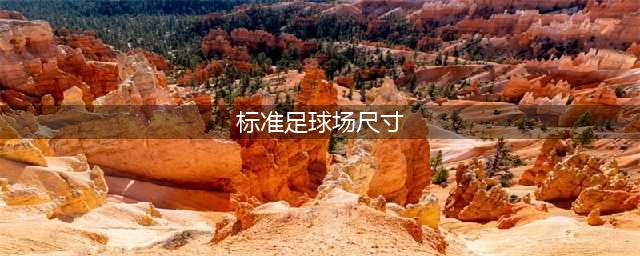 标准足球场尺寸有多大？(标准足球场尺寸)
