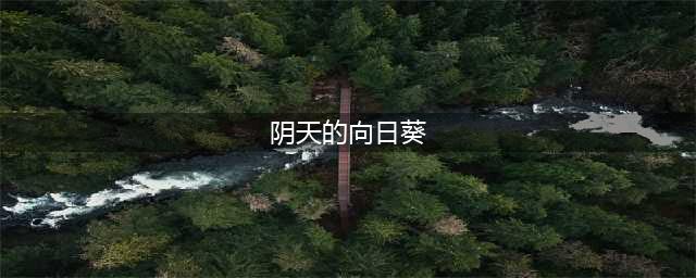阴天里的向日葵什么梗 阴天里的向日葵内涵段子什么意思(阴天的向日葵)