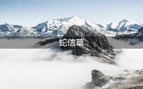魔兽世界蛇信草哪里多 蛇信草采集位置大全