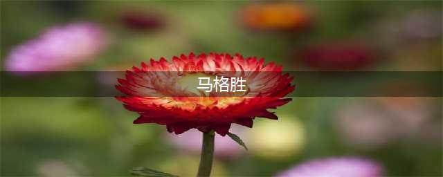 出狱后上市融资！“湖北首富”沦为阶下囚，63岁成“网红企业家”？(马格胜)