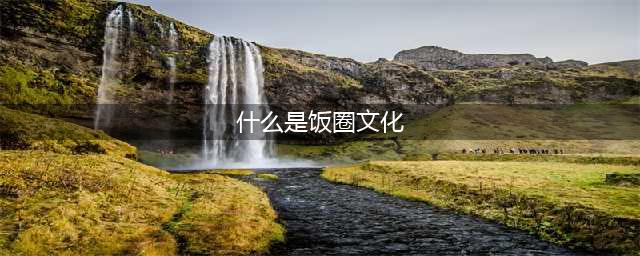 什么是饭圈文化?该如何看待饭圈文化？(什么是饭圈文化)