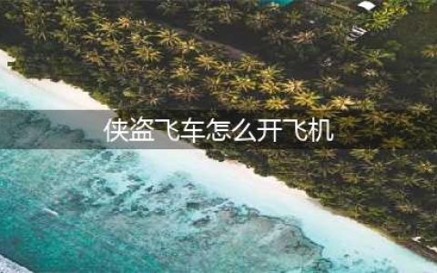 罪恶都市飞机怎么开？罪恶都市飞机操作指南(侠盗飞车怎么开飞机)